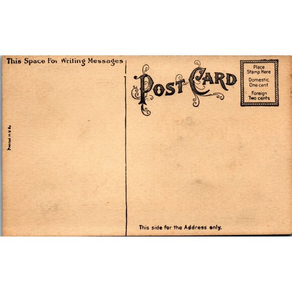 Postcard, Greeting, Thanksgiving, Velvet-like Turkey, Antique, (PC122) - Picture 2 of 2